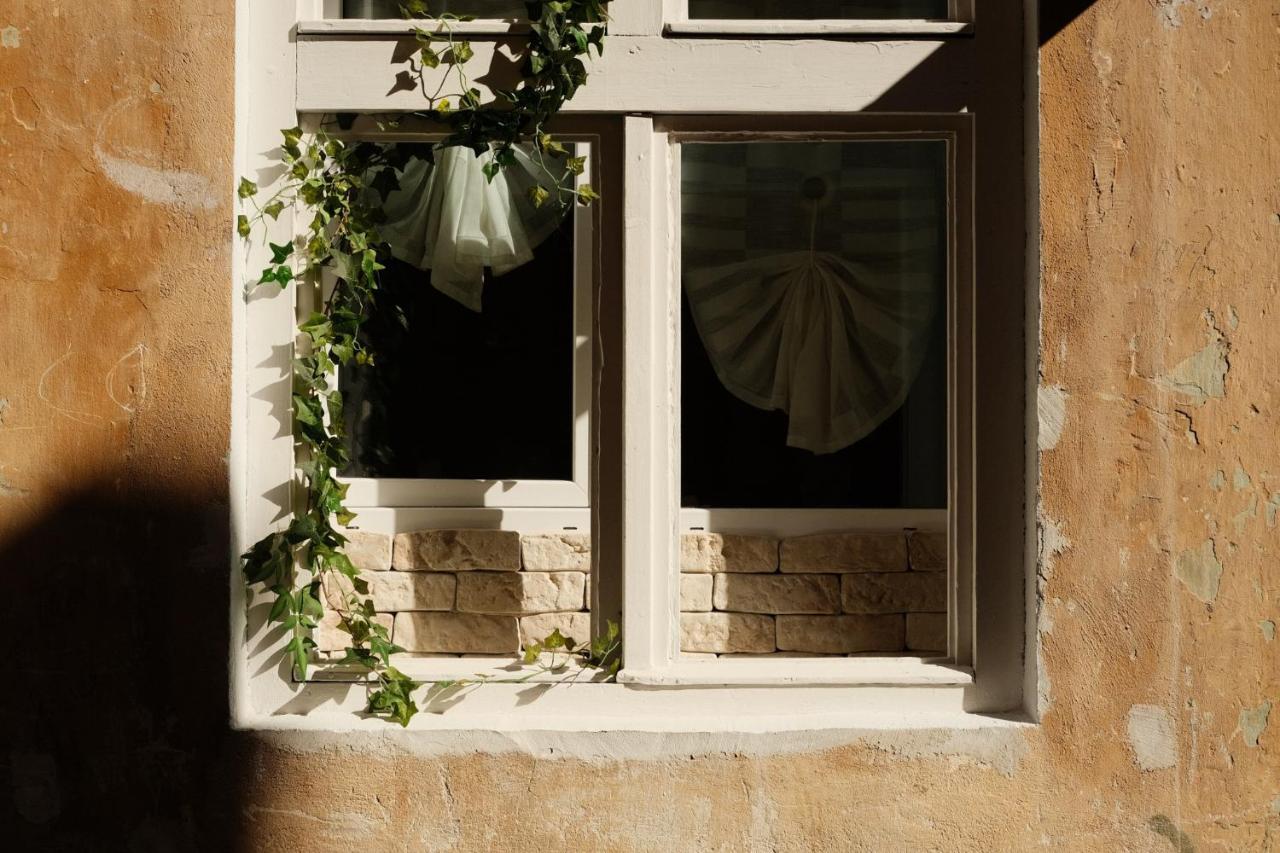 Cozee Studio - In Inima Brasovului Exterior foto